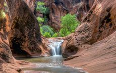 Sustainable Home Water Conservation Strategies for a Thirsty Planet