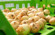 Article Image for Agri-Tech Solutions for Sustainable Farming