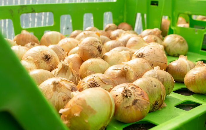 Article Image for Agri-Tech Solutions for Sustainable Farming