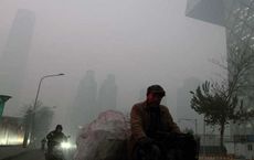 Global Imperative of Cleaner Air Examination of Causes Effects and Strategies
