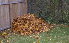 Transformative Power of Composting Practices Partnerships and Progress