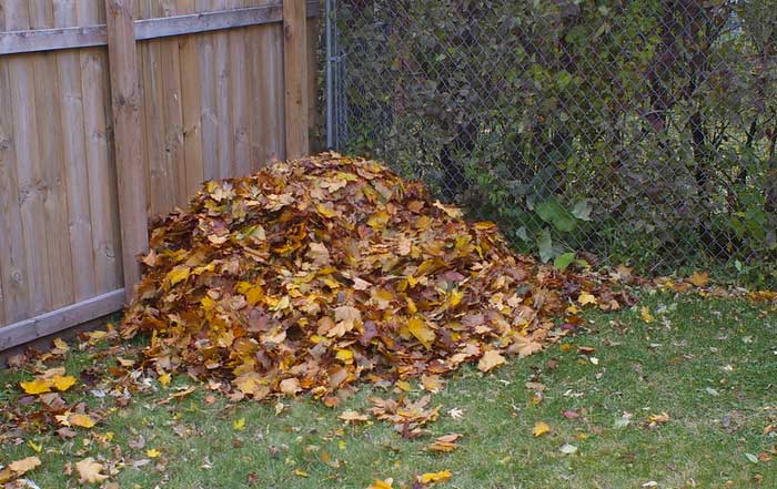 Transformative Power of Composting Practices Partnerships and Progress