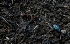 Article Image for Compostable vs. Biodegradable: Understanding the Terms