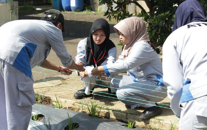 Article Image for Critical Thinking in Environmental Education