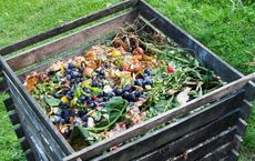 Minimizing Waste in Everyday Life Strategies for a Sustainable Future