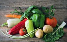 Soaring Popularity of Organic Gardening in a Changing World
