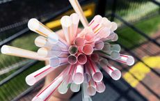 Enduring Challenge of Single-Use Plastics: Pursuing a Sustainable Path