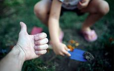 The Power of Sustainable Gardening
