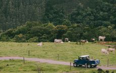 Article Image for How Brazil Is Navigating the Intersection of Agriculture and Conservation