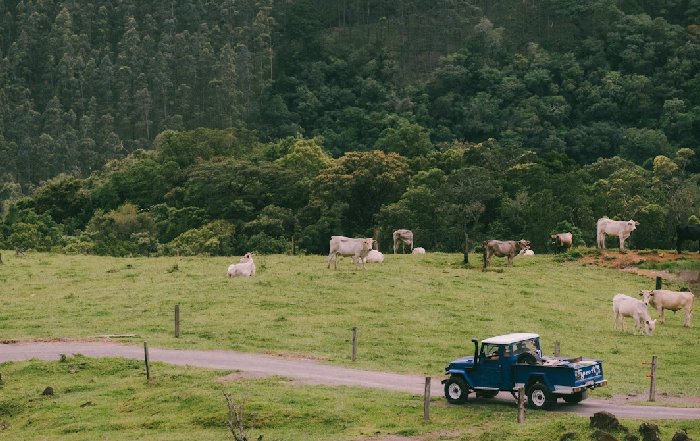 Article Image for How Brazil Is Navigating the Intersection of Agriculture and Conservation