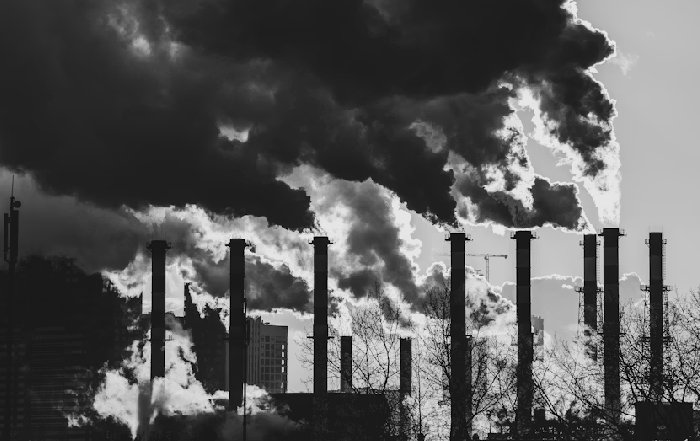 Article Image for How Businesses Can Measure and Reduce Scope 3 Emissions