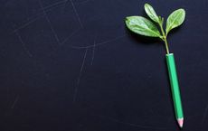 Article Image for How Businesses Measure Sustainability Success