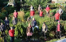 Article Image for How Community Gardens Can Enhance Urban Resilience and Well-Being