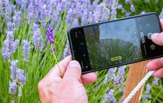 How Home Herb Gardens Empower Sustainable Prosperity