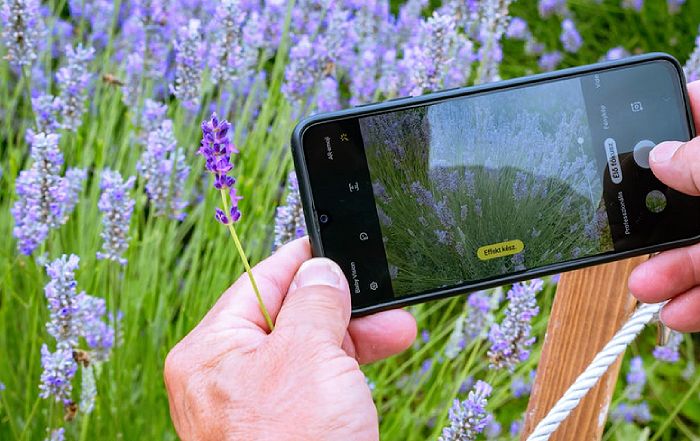 How Home Herb Gardens Empower Sustainable Prosperity