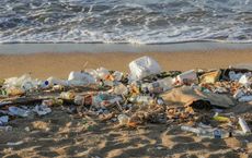 Article Image for How Plastic Waste Affects Marine Ecosystems