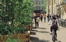 Article Image for How Sustainable Living Supports Healthier Cities