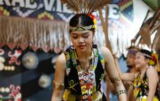 Article Image for Lessons in Sustainability from Indigenous Cultures