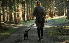 Article Image for Lifestyle Shifts That Help Protect the Environment