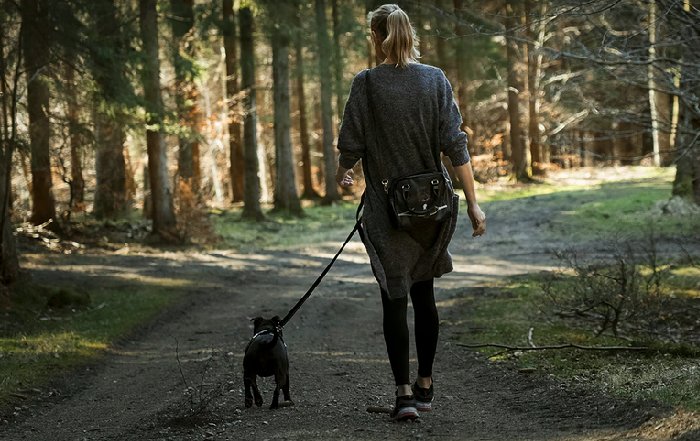 Article Image for Lifestyle Shifts That Help Protect the Environment