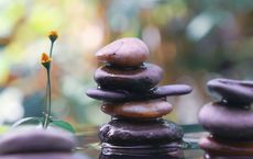 Article Image for Mindful Consumption in a World of Abundance