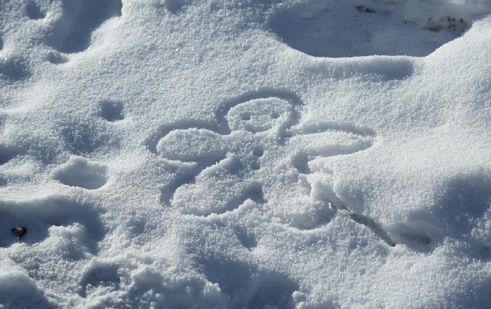 Article Image for Nature as a Source of Creativity and Innovation