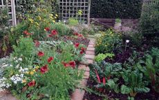 Multifaceted Advantages of Organic Gardening in Promoting a Healthier Planet