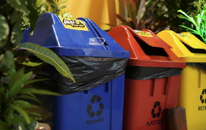 Article Image for Practical Recycling Tips for Homes and Offices
