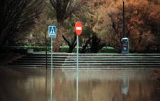 Article Image for Raising Environmental Awareness in Urban Communities