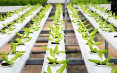 Recent Advances in Plastic Recycling Technologies