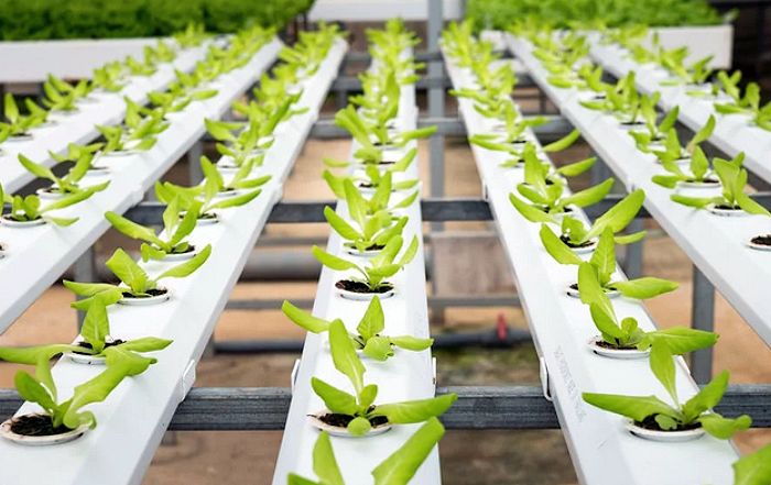 Recent Advances in Plastic Recycling Technologies