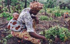 The Enduring Promise of Sustainable Agriculture