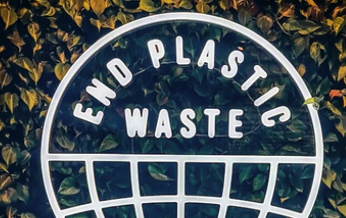 Article Image for Reducing Plastic Pollution Through Smarter Design