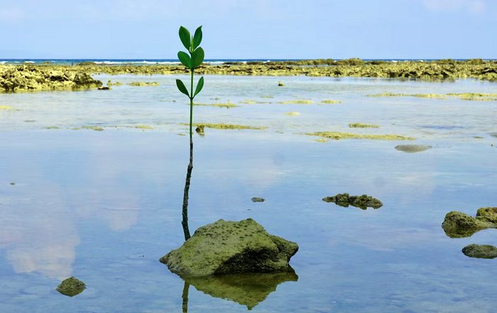 Article Image for Simple Actions That Support a Sustainable Future