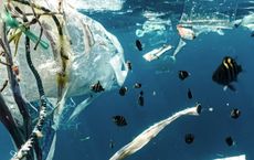 Article Image for Simple Lifestyle Changes That Support Environmental Protection