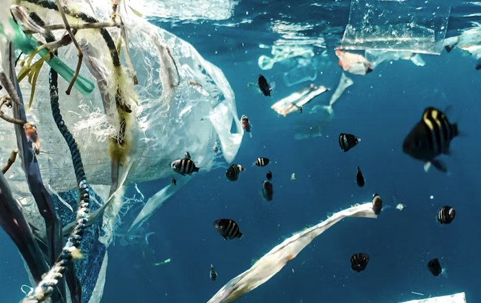 Article Image for Simple Lifestyle Changes That Support Environmental Protection