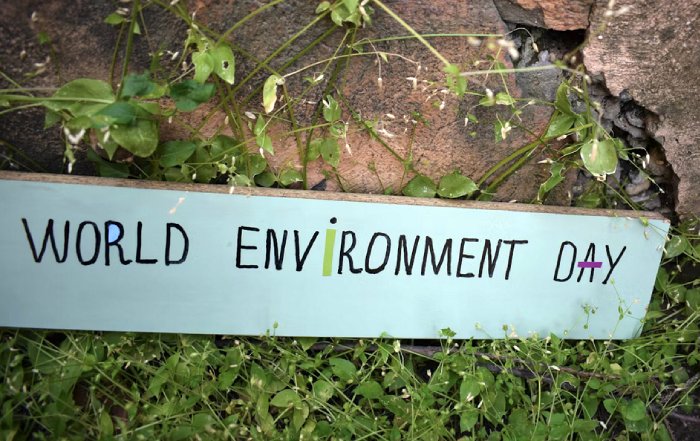 Article Image for Simple Ways to Promote Environmental Awareness