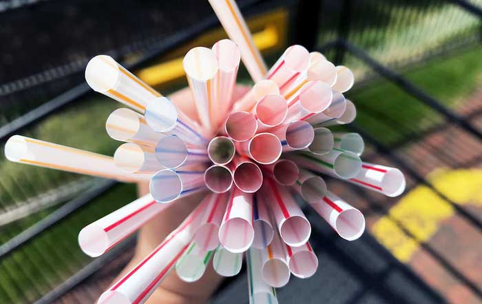 Enduring Challenge of Single-Use Plastics Pursuing a Sustainable Path in 2025