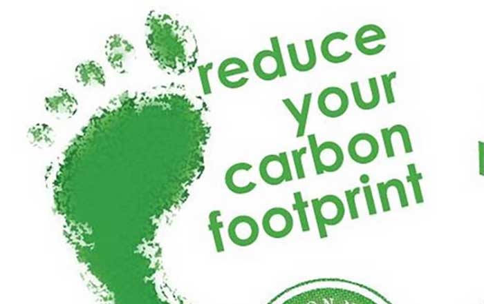 Reducing Carbon Footprints Global Initiatives and Individual Actions in 2025