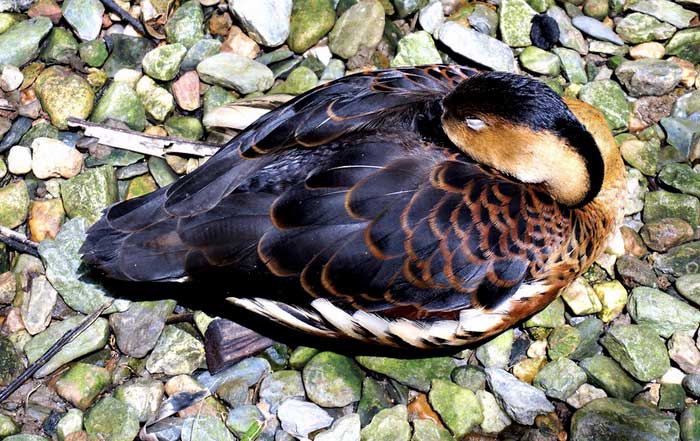 Soaring Global Temperatures - A Climate Wake-Up Call