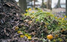 Enduring Value of Composting for Sustainable Progress