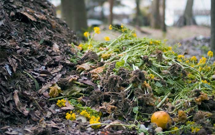 Enduring Value of Composting for Sustainable Progress