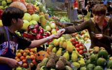 Local Food Sourcing A Cornerstone of Sustainable Living