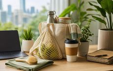 Article Image for Sustainable Living Ideas for Busy Professionals