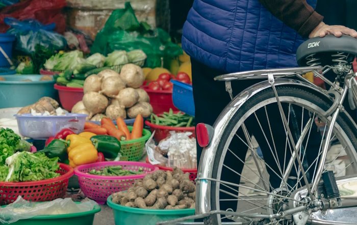 Article Image for The Circular Economy and Your Everyday Choices