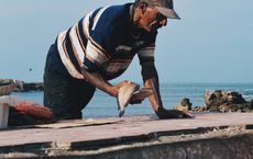 Article Image for The Future of Sustainable Fisheries and Ocean Conservation