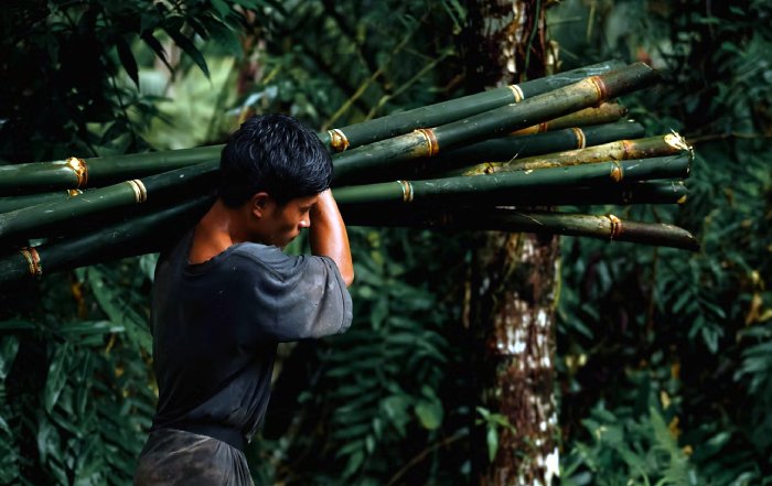 Article Image for The Global South as a Sustainability Leader