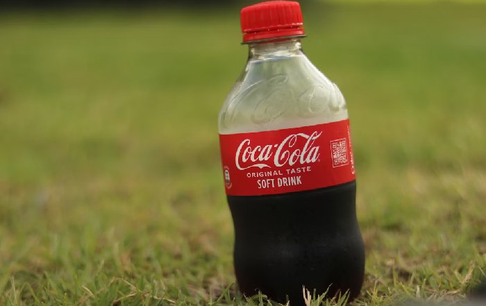 Article Image for The Hidden Life of a Plastic Bottle