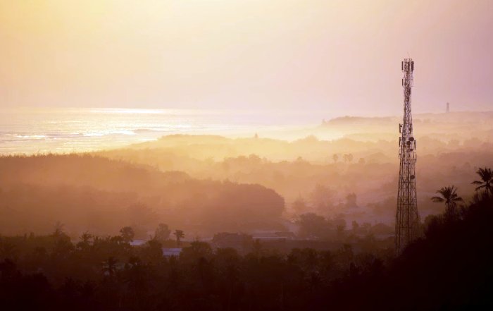 Article Image for The Impact of Remote Work on Carbon Emissions