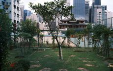 Article Image for The Importance of Green Space for Mental Well-Being in Dense Cities